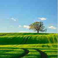 移‌动‍app性​能‌测‌试​工‌具‍